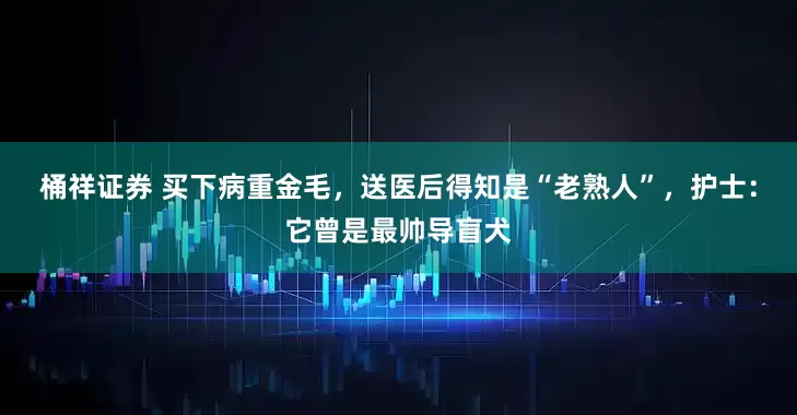 桶祥证券 买下病重金毛，送医后得知是“老熟人”，护士：它曾是最帅导盲犬